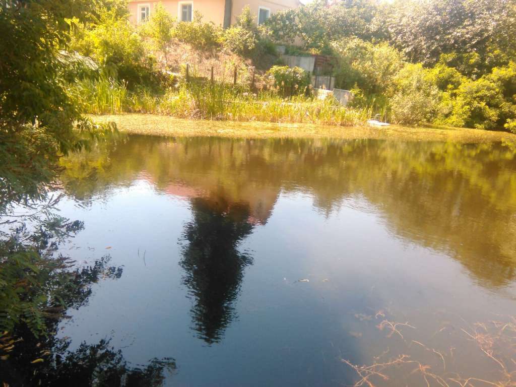 Продается земельный участок под жилую застройку в с. Рожевка, Броварск