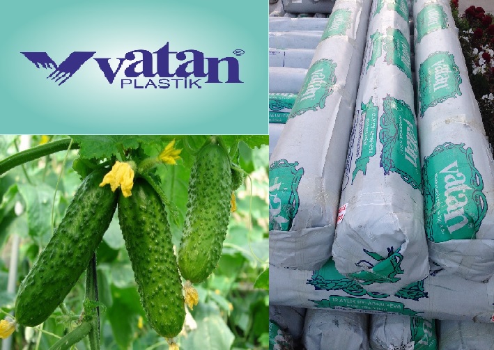 Многолетняя плёнка для теплиц Vatan Plastik (Турция). Высокое качество
