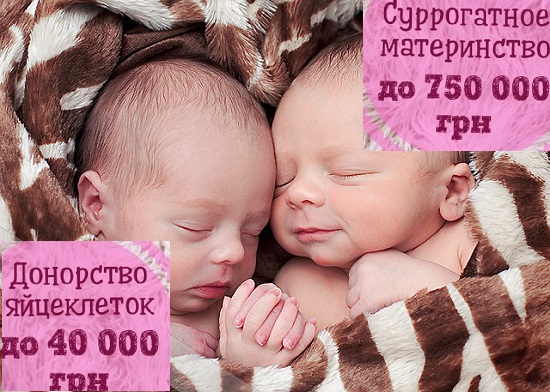 Стать Донором яйцеклеток Борисполь.