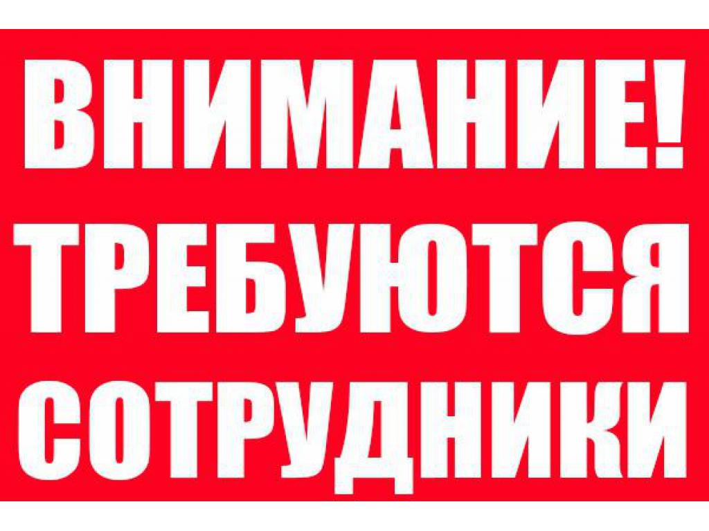 Менеджер по продажам в крупную компанию.