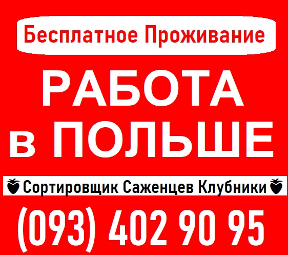 ⭕ Требуются СОРТИРОВЩИКИ Саженцев Клубники ПОЛЬША