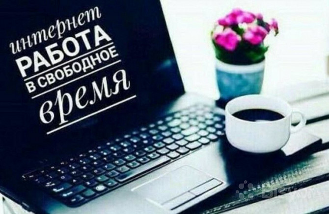 Консультант интернет-проекта