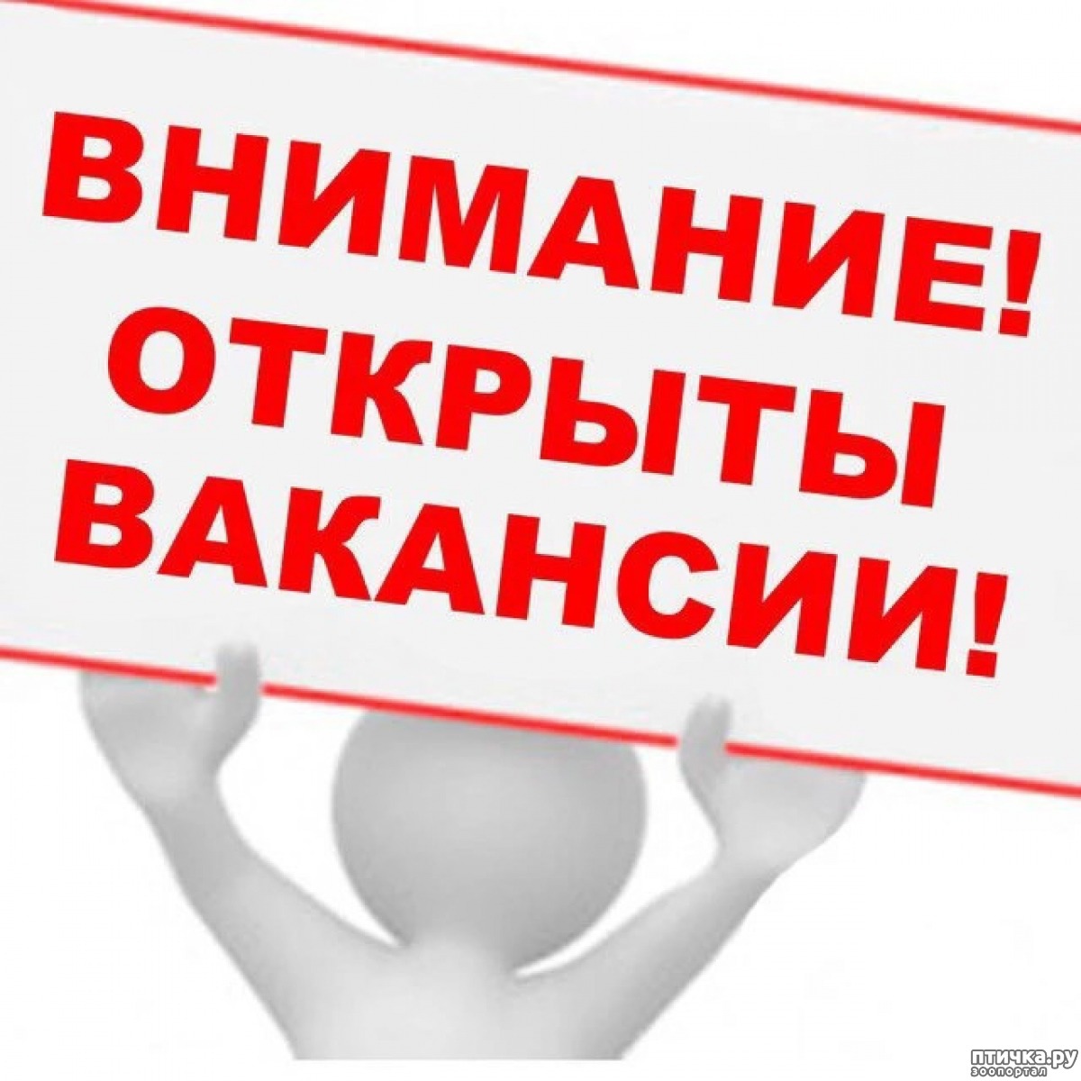 Администратор интернет-магазина