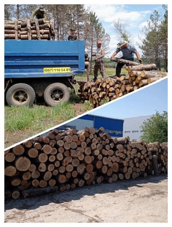 Продам дрова твердых пород, уголь Одесса.