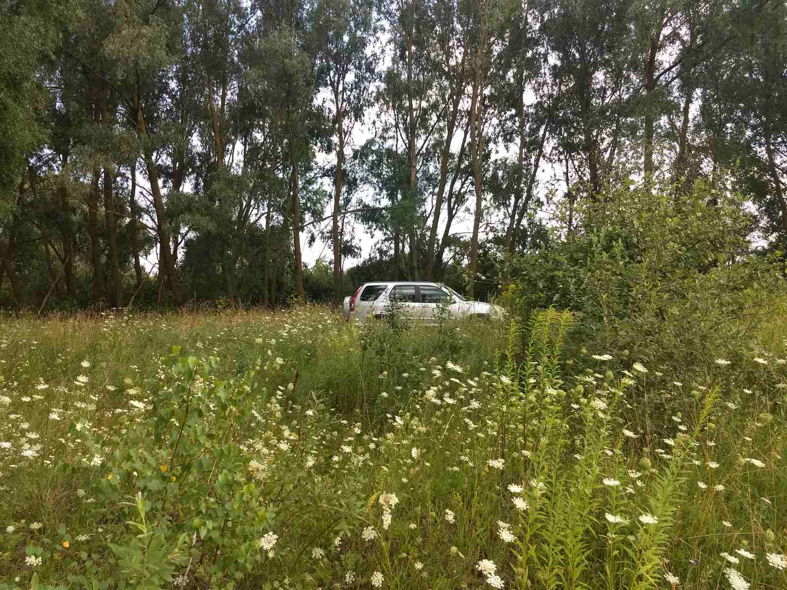 участок под застройку 17.5 соток в с. Семиполки