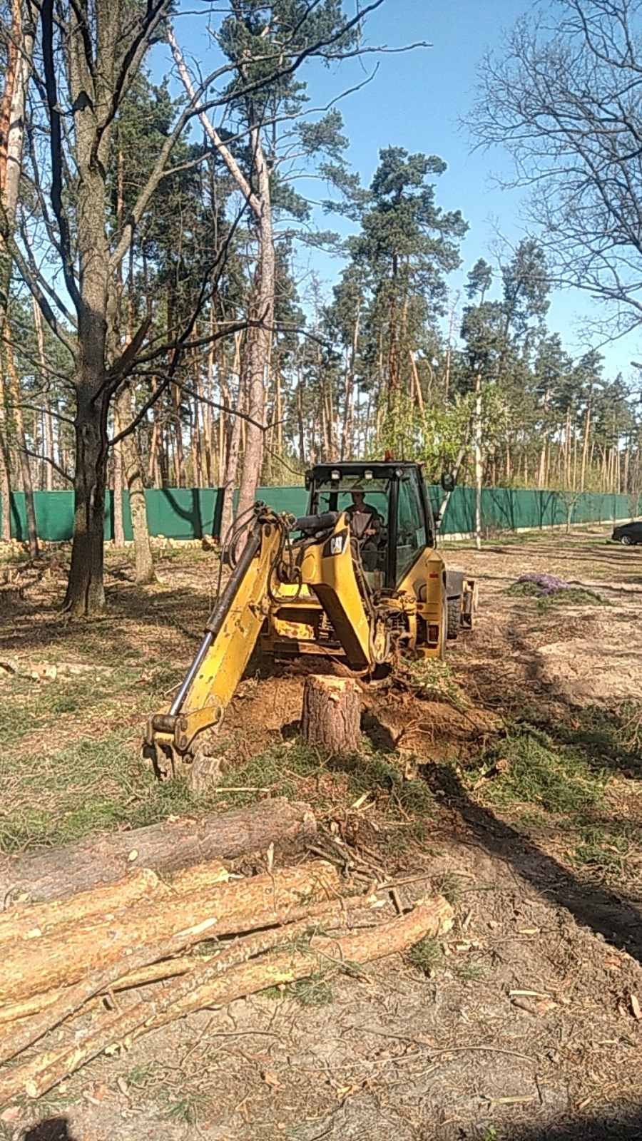Спил дерев в Києві і  Київській області.