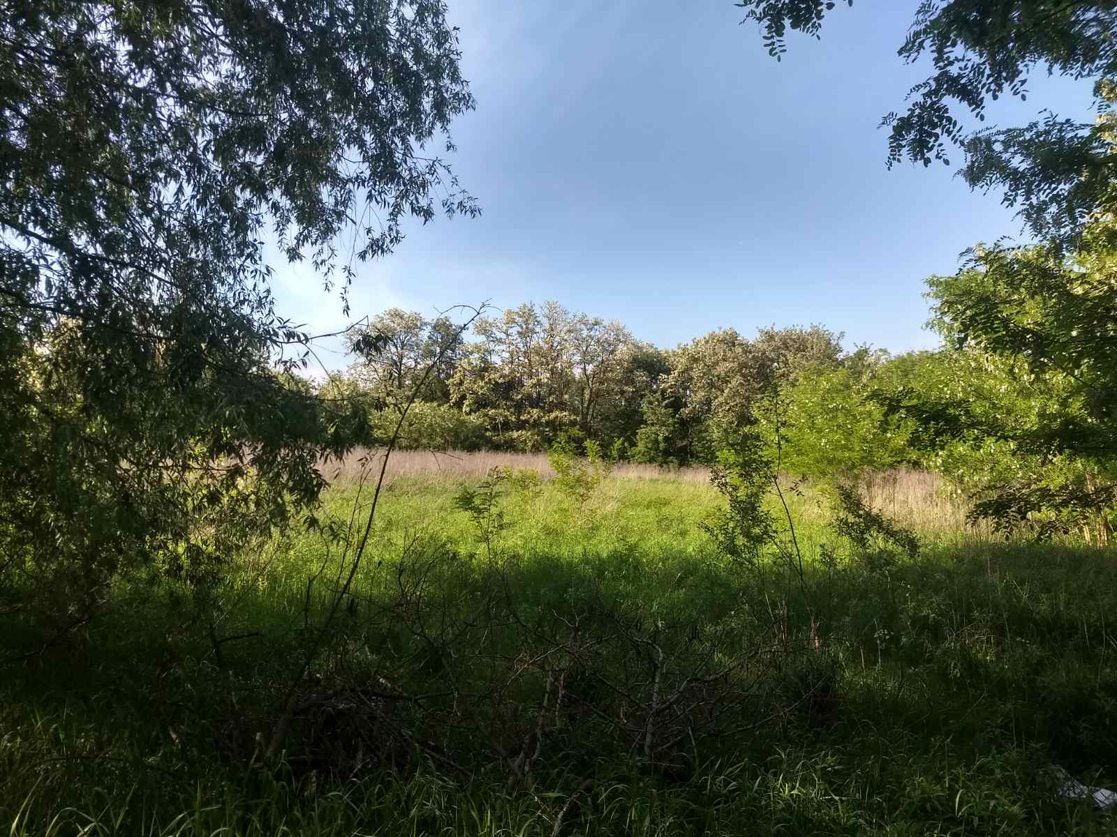 Земельна ділянка під будівництво площею 02060 га в с. Хлопків