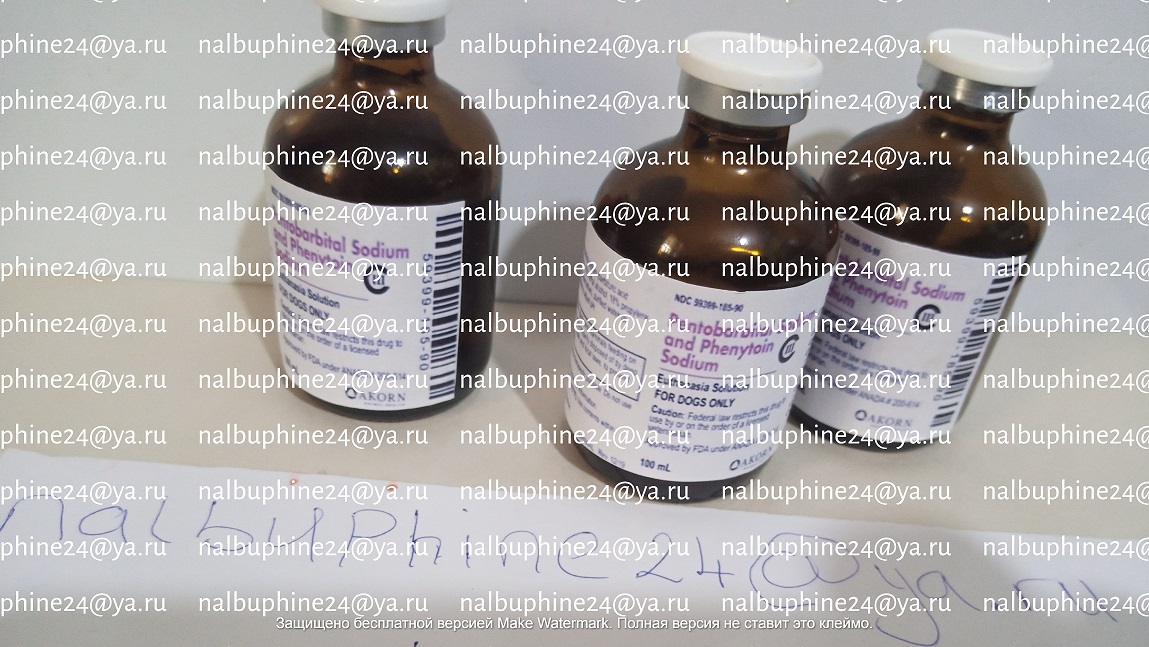 Нембутал Пентобарбитал Купить