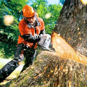 Спил дерева, услуги сад покос травы , расчистка участков вывоз мусора Одесса