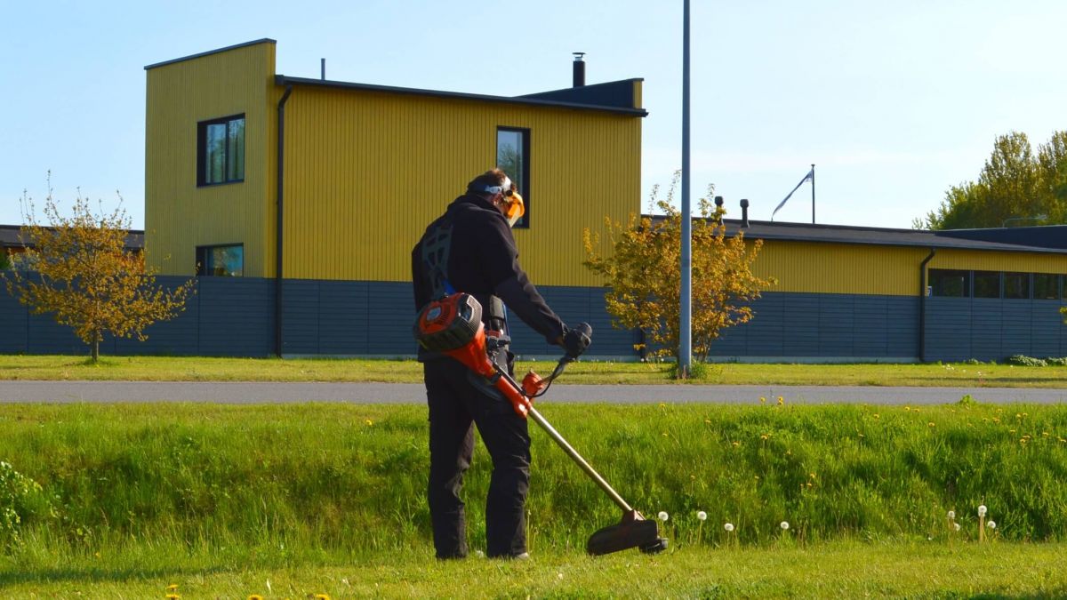 Покос травы, вырубка кустарников, спиливание ненужных деревьев уборка территории