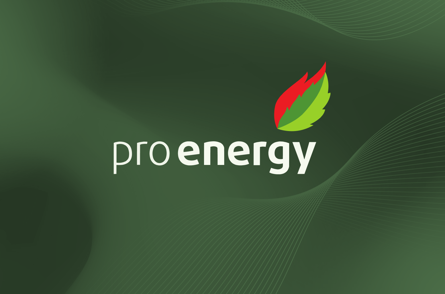 Pro Energy - Ваш досвідчений партнер із реалізації проєктів біоенергетики та біопереробки
