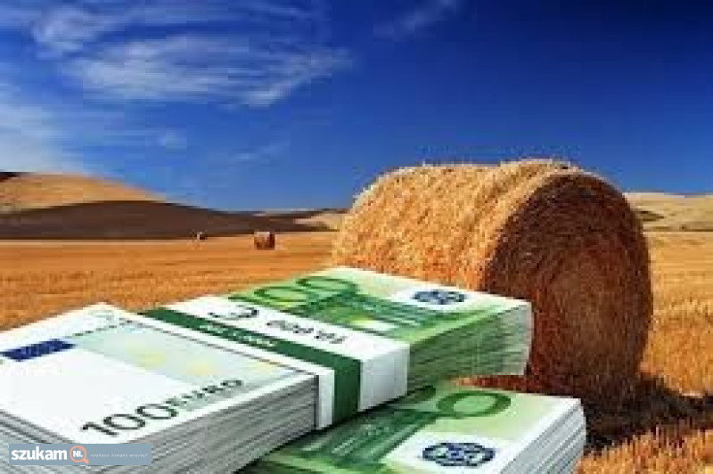 Cash offer Quick approval for loan 918119841594