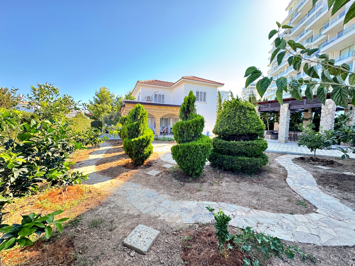 Инвестиции в недвижимость Северного Кипра с Alliance-Estate Недвижимость на Северном Кипре сегодня считается одним из самых выгодных направлений для инвестиций в Европе. Цены на квартиры и виллы у моря здесь в два-три раза ниже, чем в Греции, Испании или 