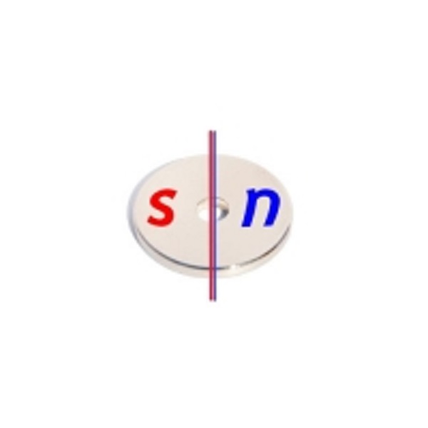Магніт кільце діаметральної намагніченості D30 - 6 х H3