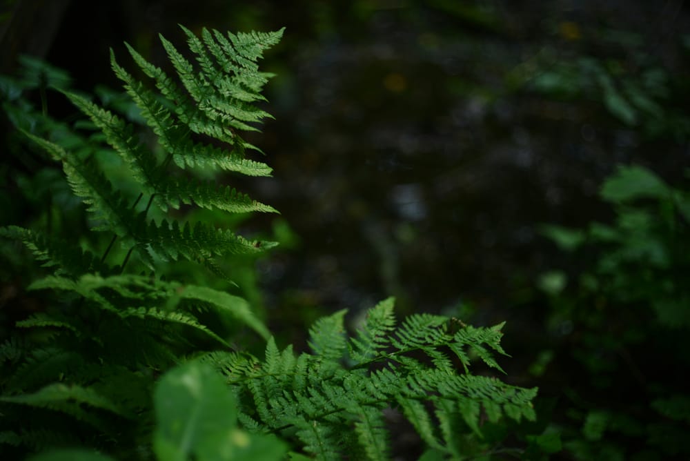 Услуги Сантехников