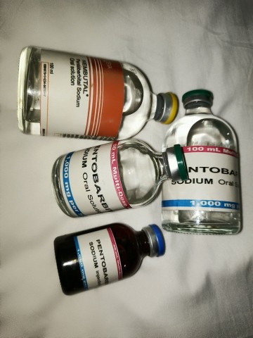 КУПИТЬ Нембутал (пентобарбитал натрия) в порошке, капсулах и пероральной жидкости