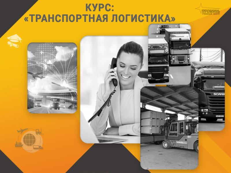 Курс «Транспортная логистика»: профессия с высоким спросом за несколько недель