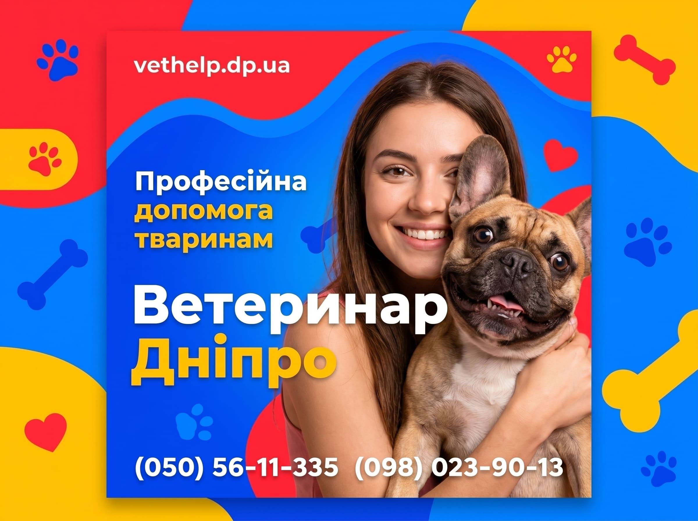 Ветеринар на дом Днепр – Кастрация, Стерилизация, Лечение животных