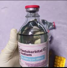 Нембутал (пентобарбітал), OxyContin, ібогаїн, 4-MEC, MDMA, Actavis