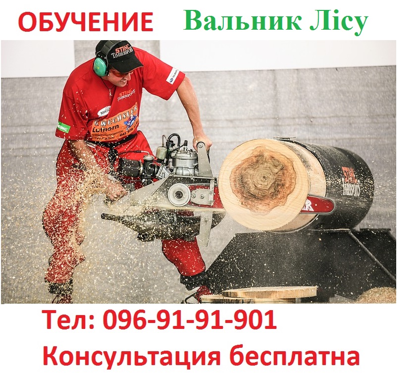 Удостоверение вальщика леса