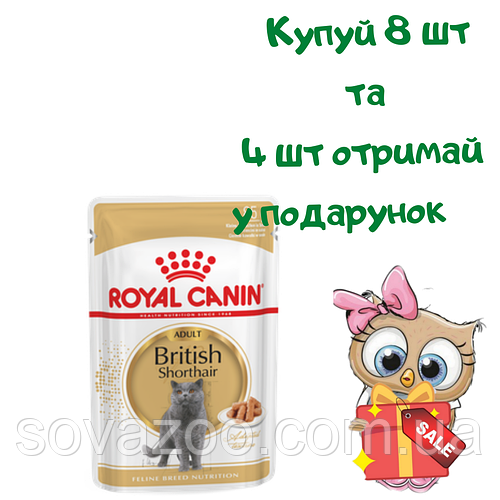 Вологий корм Royal Canin British Shorthair 85 г 8+ 4 набор