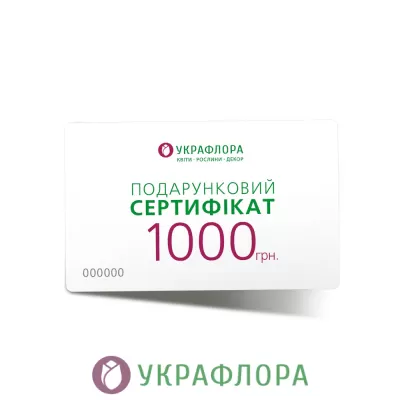 Подарочный сертификат "1000 грн."
