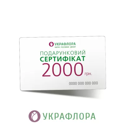 Подарочный сертификат 2 000 грн.