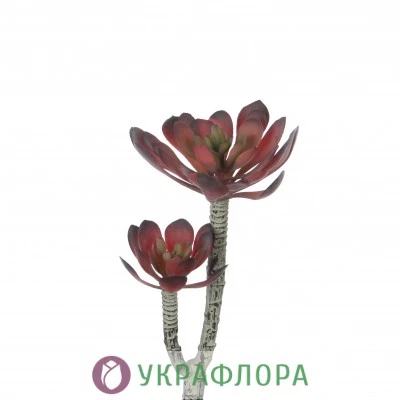 Сукулент искусственный красный