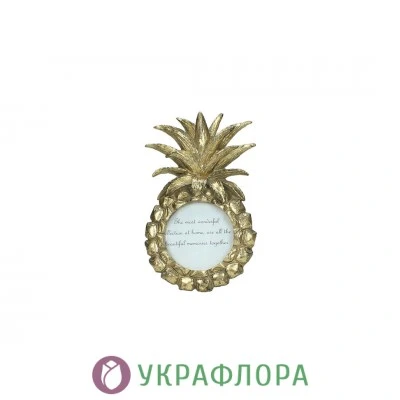 Фоторамка Ананас HD Collection