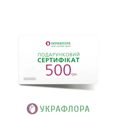 Подарочный сертификат "500 грн."