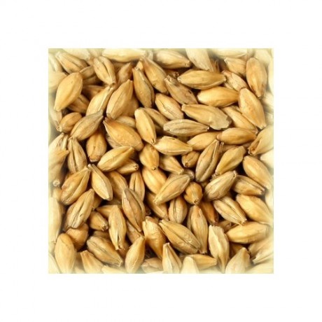 Солод пивоваренный Wheat (пшеничный) - МирБир