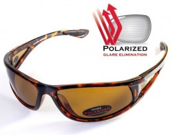 Окуляри FLORIDA-3 POLARIZED (BROWN) коричневі лінзи