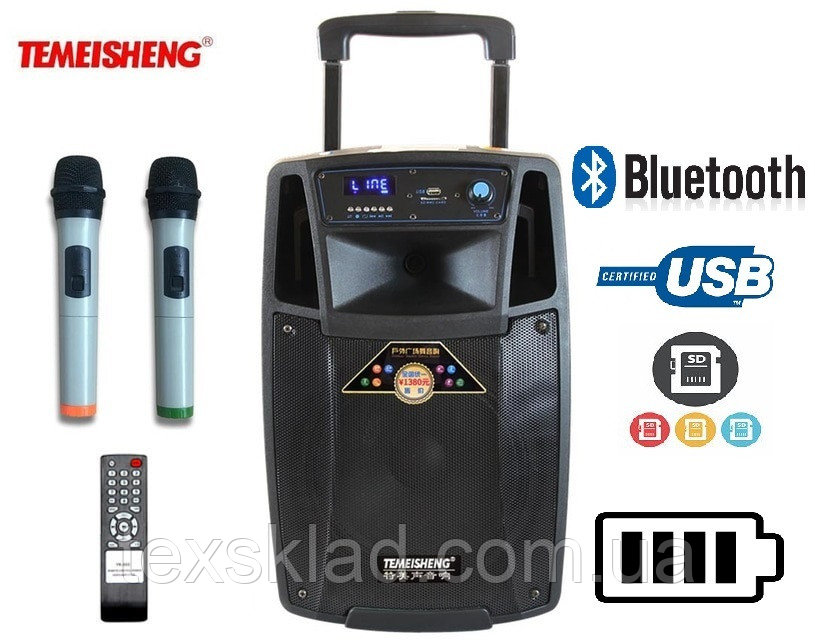 Колонка для выступлений SL10-01 с 2-мя микрофонами Bluetooth