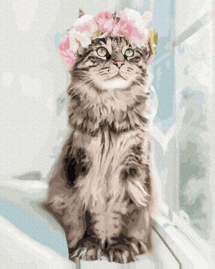 Кошачий портрет. Картина по номерам (без коробки)