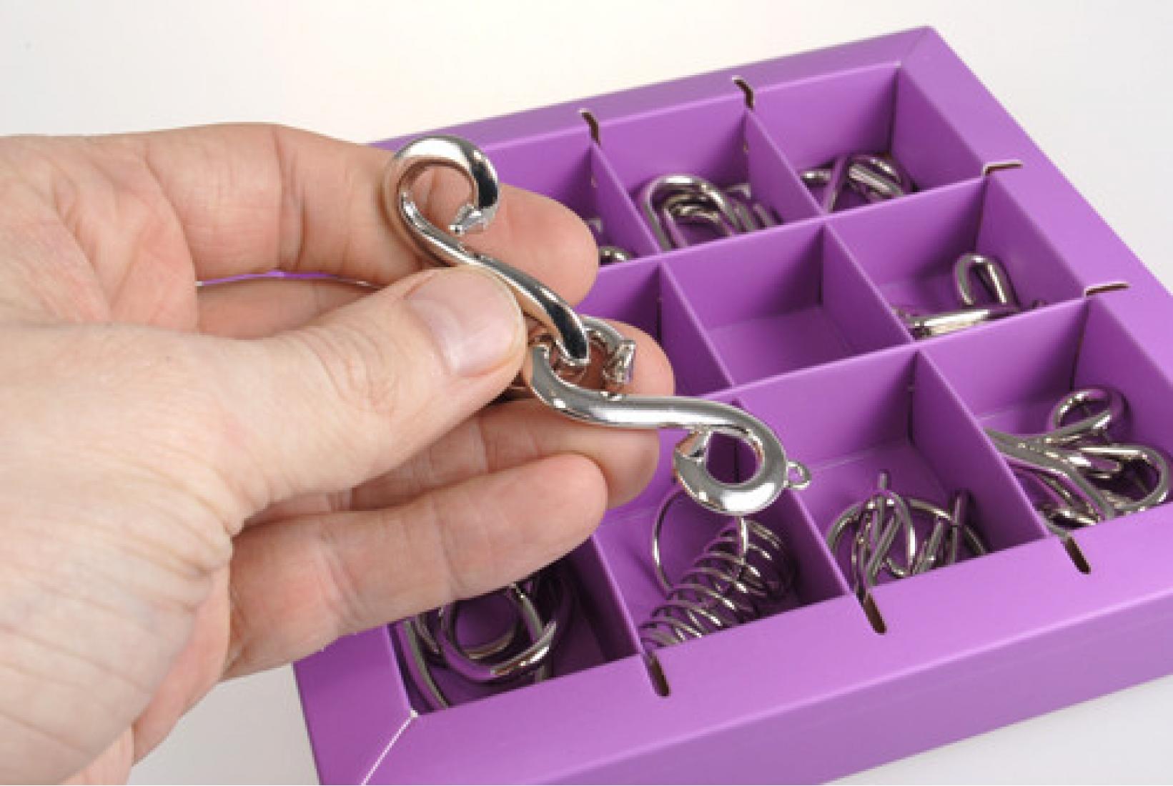 Набор головоломок 10 Metall Puzzles violet 10 головоломок Eureka 3D Puzzle 473359