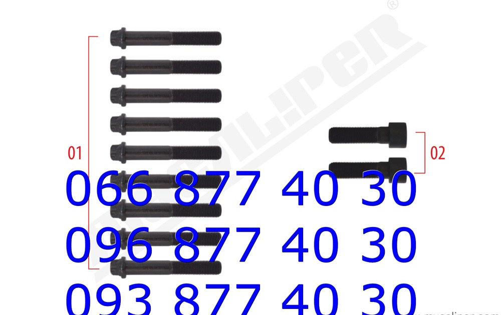Болт крышки суппорта MERITOR ELSA/CLISA M14 x 1,5 x 90 mm, FRE20-25067
