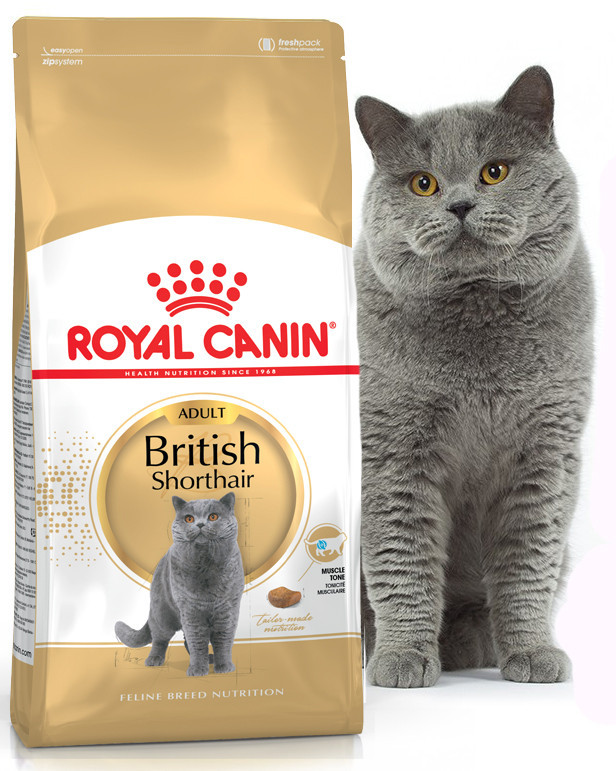 Сухой корм для кошек Royal Canin Adult British Shorthair для породы британская короткошерстная 0,4 кг