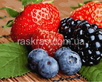 BK-GX34290 Раскраски по номерам Свежие ягоды (Без коробки)