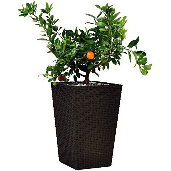 Горшок для цветов Large Rattan Planter 145 л.