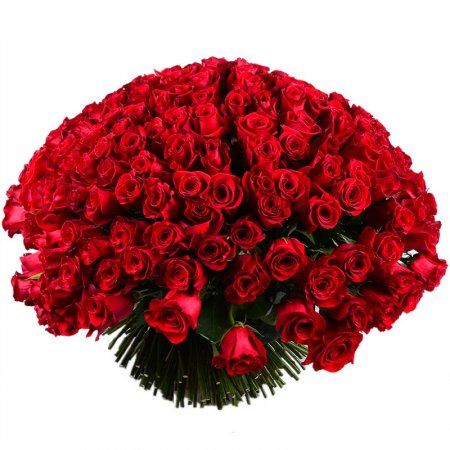 Huge bouquet of roses