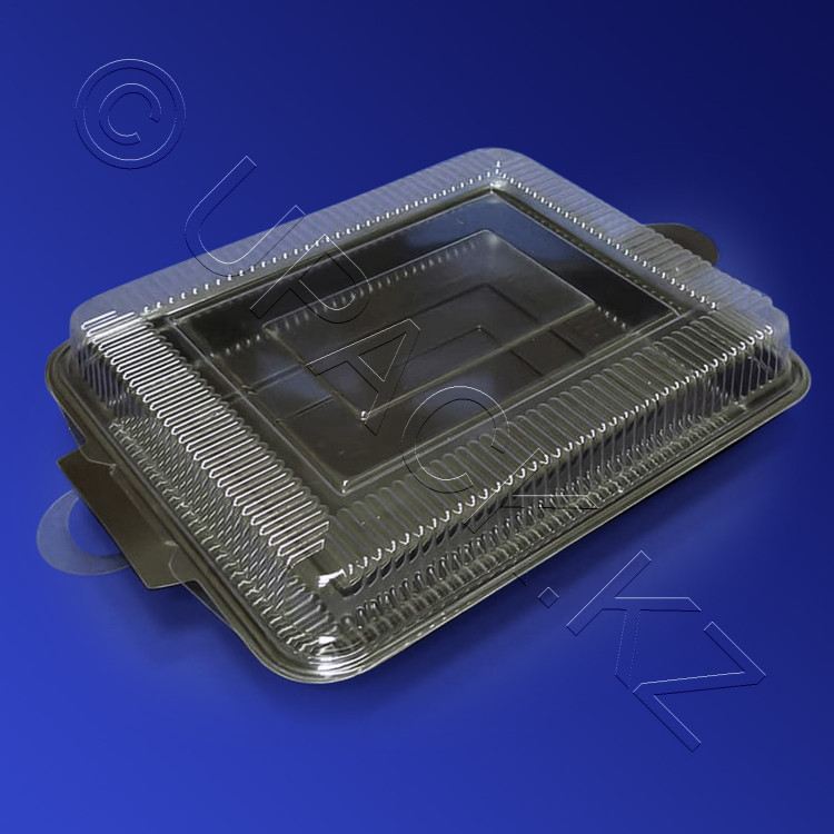 Контейнер для суши большого сета PS/PVC 40,5х27,7х7,2см с крышкой 100 шт/кор