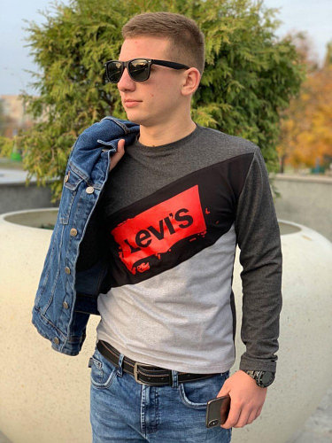 Мужской свитшот LEVI'S ( серый )