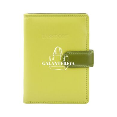 Кожаная обложка для паспорта Visconti RB75 - Sumba (lime multi)