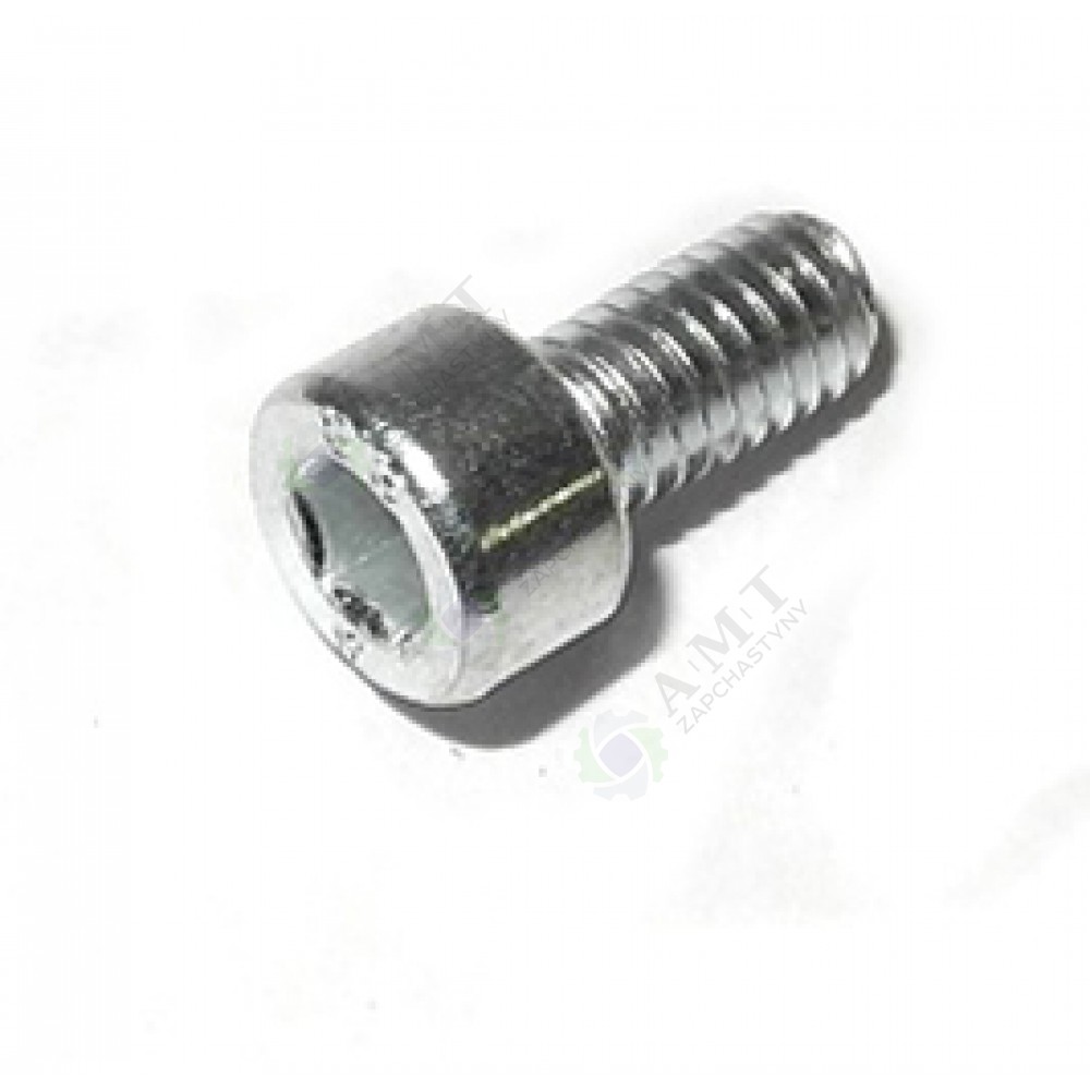 Винт крышки натяжителя цепи PL 5031ms