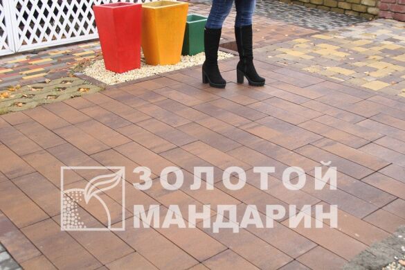 Тротуарная плитка Паркет 60 мм Савона ТМ Золотой Мандарин