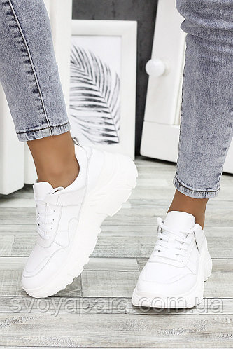 Кроссовки кожа Balenc!aga белые 7268-28