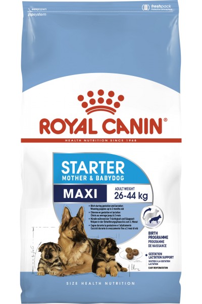 Royal Canin Maxi Starter для щенков крупных пород до 2 месяцев