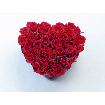 Сердце 11