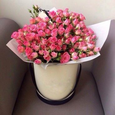 Pink dream