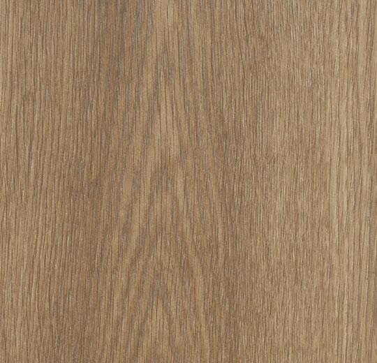 Forbo Allura Click cc60373 Дуб золотой